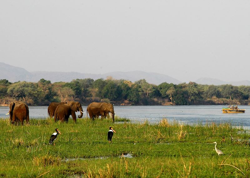 The Lower Zambezi National Park
