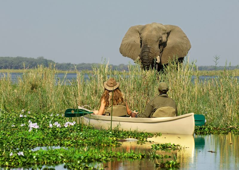 Canoeing on the Zambezi River