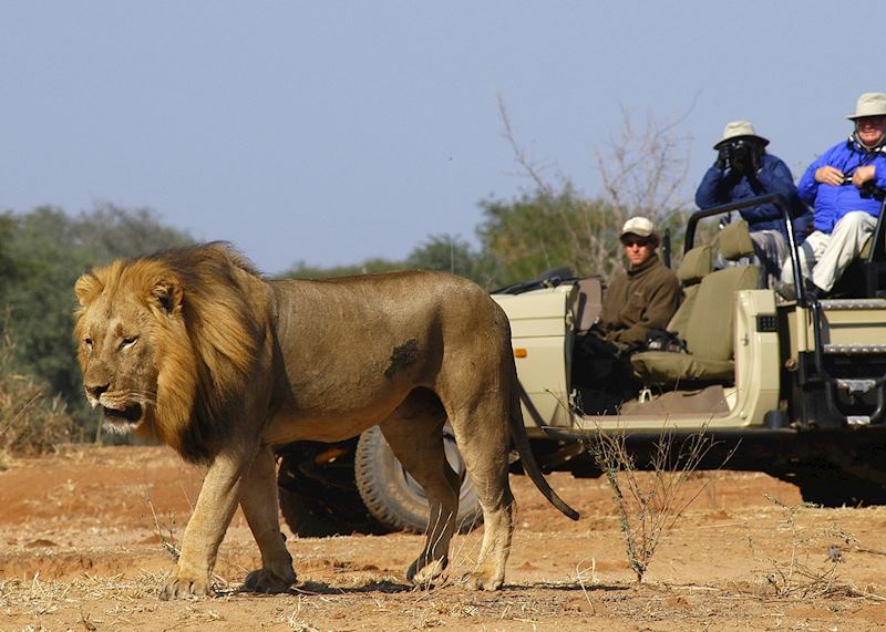 Game viewing in the Lower Zambezi