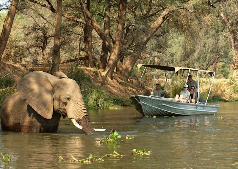 Boat trip on the Zambezi River