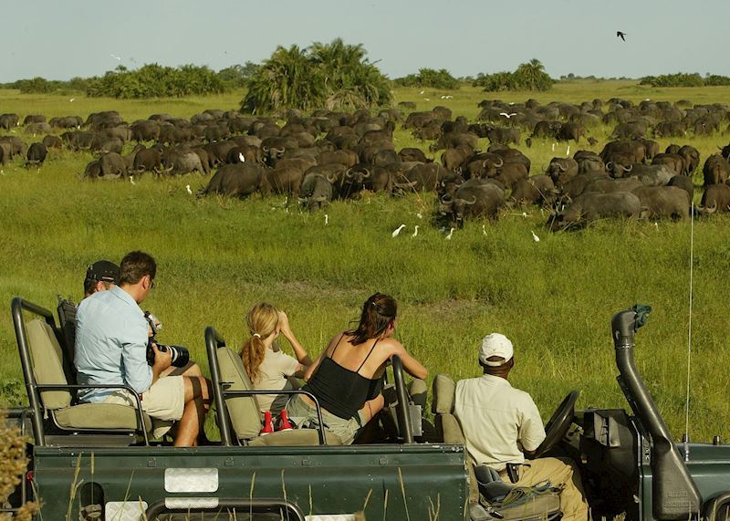 Game viewing on the Duba Plains