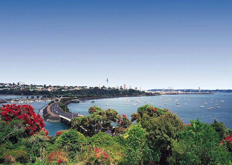 Tamaki Drive, Auckland