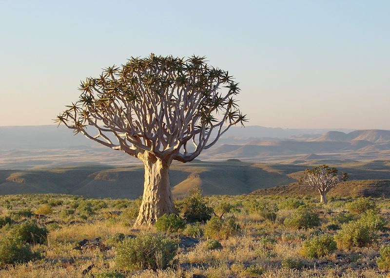 The Naukluft Mountains