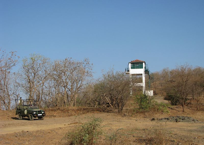 Watch tower at Gir