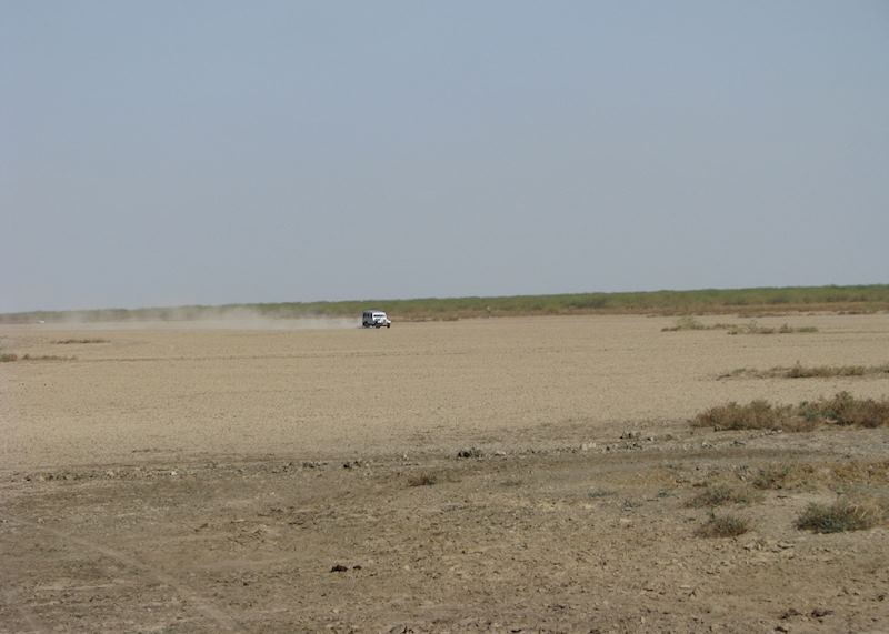 Jeep safaris in the Little Rann of Kutch