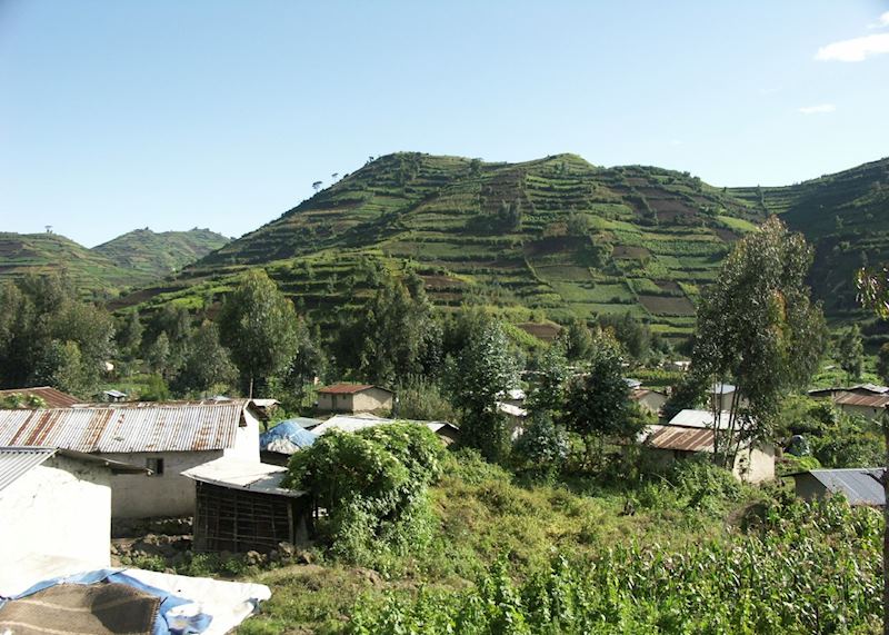 Local farms near Ruhengeri