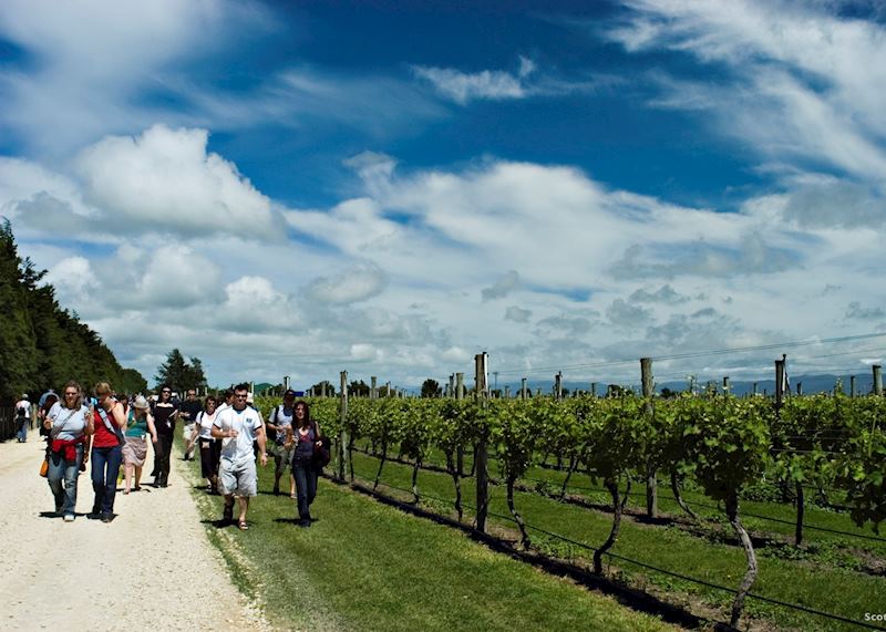 Martinborough, New Zealand