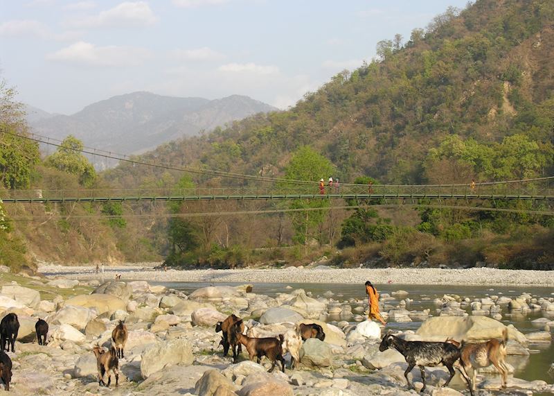Jeep safari, Corbett National Park