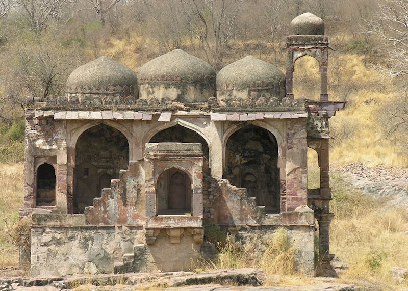 Ruin at Ranthambhore National Park