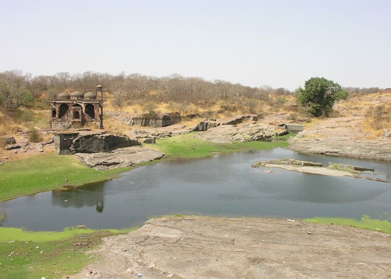 Ruin at Ranthambhore Fort