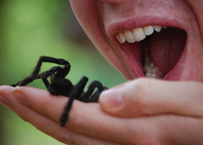 Tasting the tarantulas at Skun