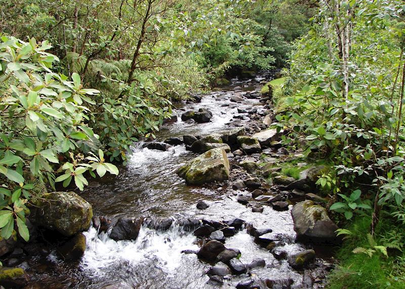 Boquete, Panama