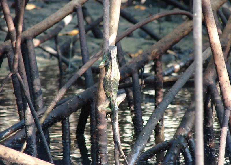 Juan Venado Island, Nicaragua