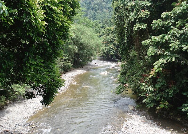 View from Jungle Lodge, Tangkahan, Indonesia
