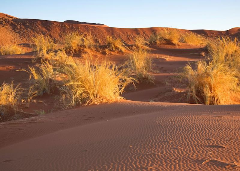 NamibRand Nature Reserve, Namibia