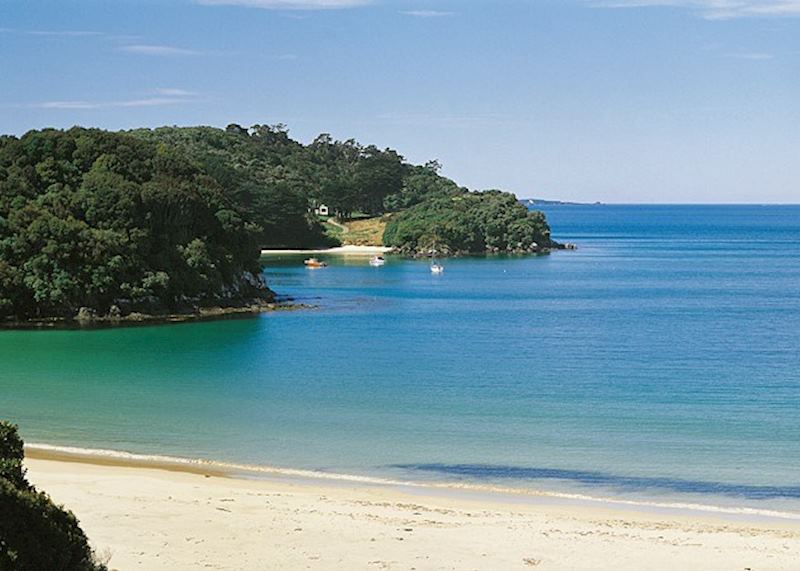 Butterfield Beach, Stewart Island