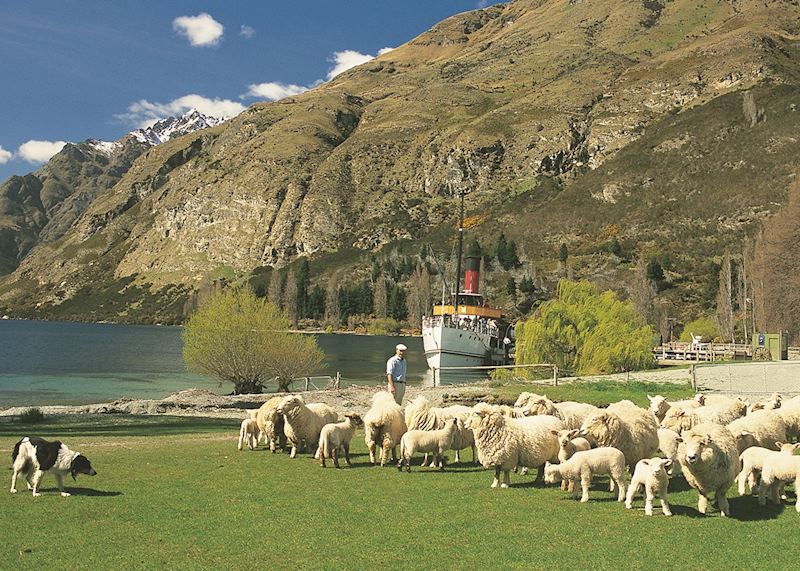 Walter Peak High Country Farm, Queenstown