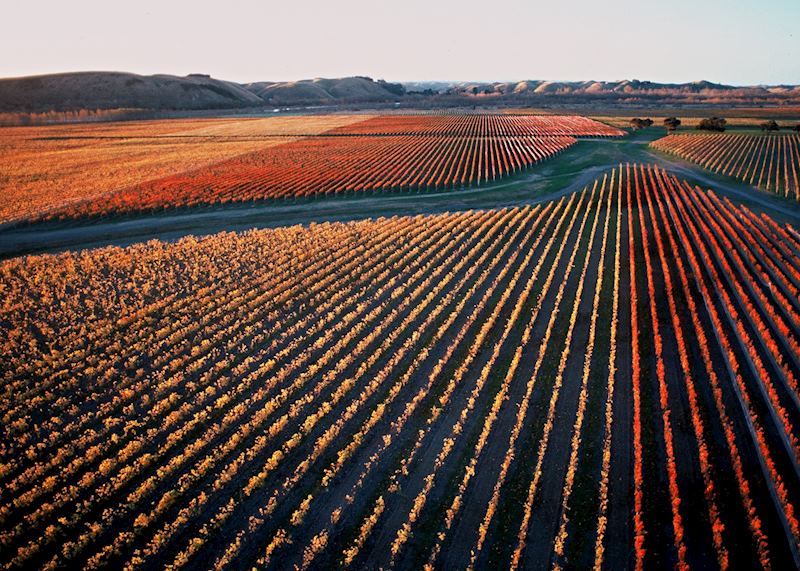 Hawke's Bay, New Zealand