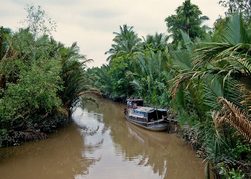 Mekong Delta scene, Vietnam