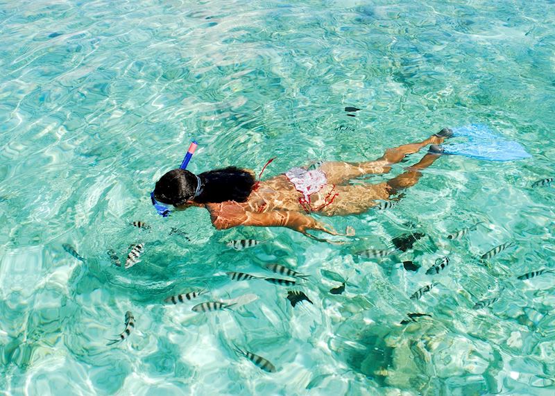 Snorkelling in the Seychelles