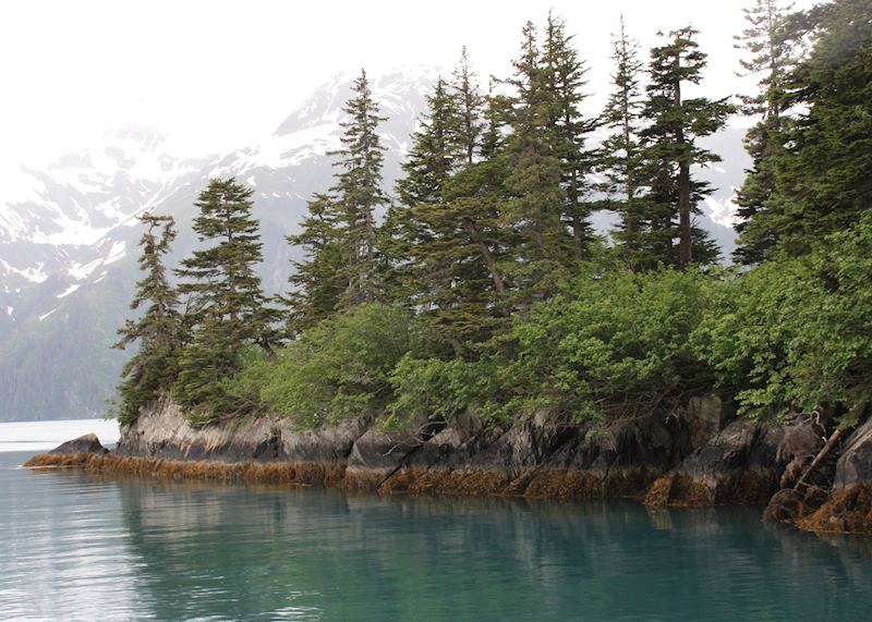 The coastline near Valdez