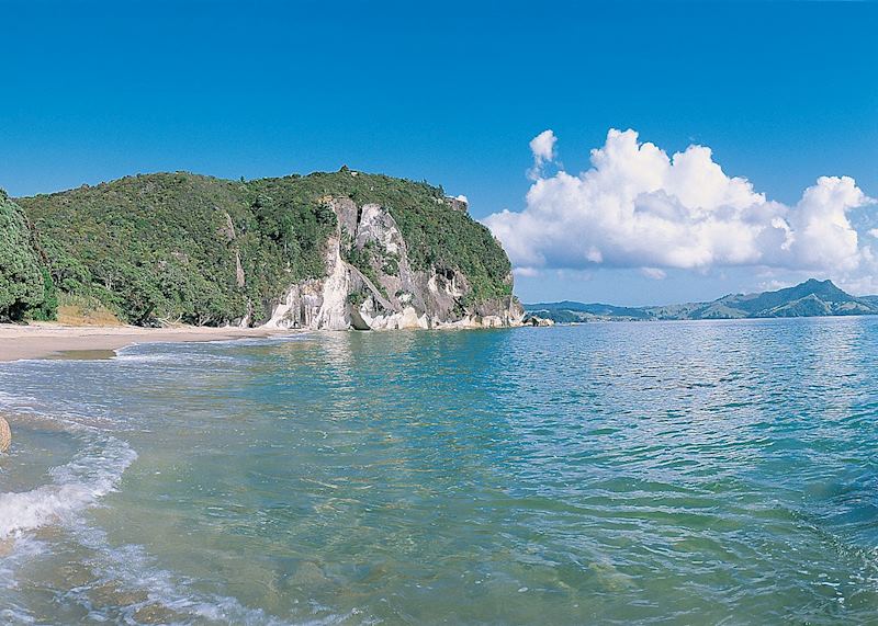 Lonely Bay, Coromandel Peninsula