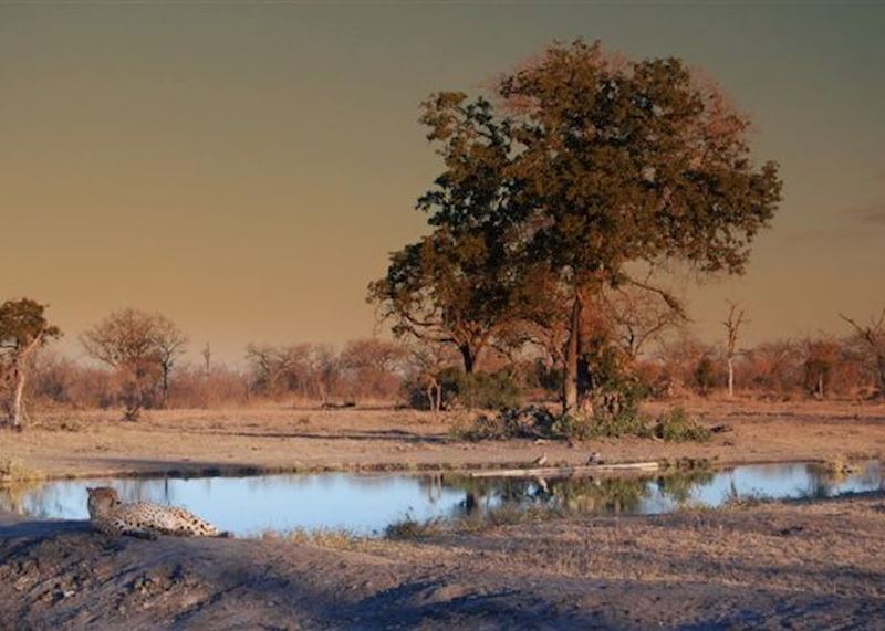 The Sabi Sand Wildtuin, South Africa
