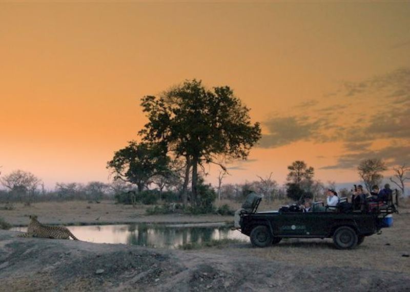 The Sabi Sand Wildtuin, South Africa