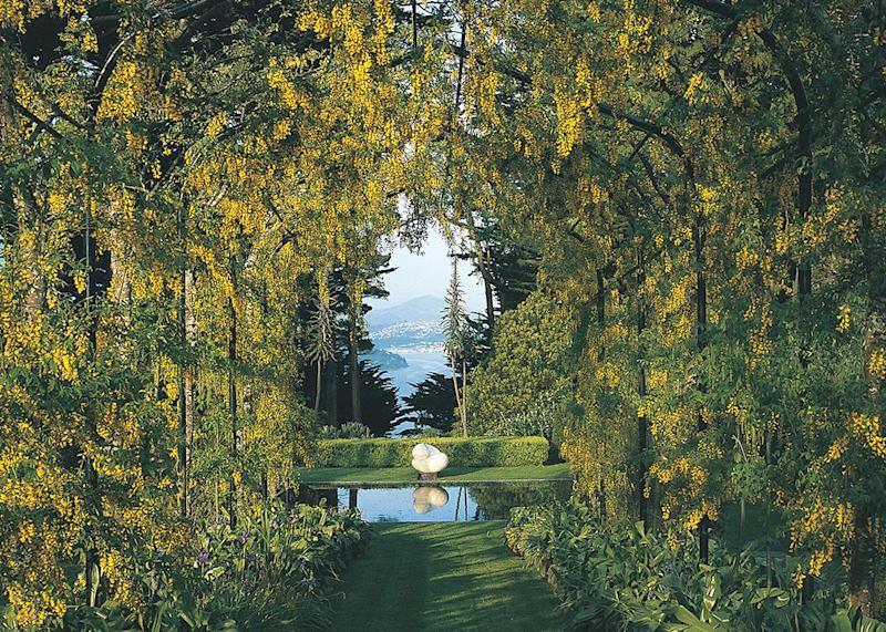 Larnarch Castle, Dunedin