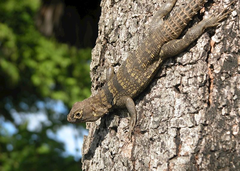 Anjajavy Private Nature Reserve, Madagascar