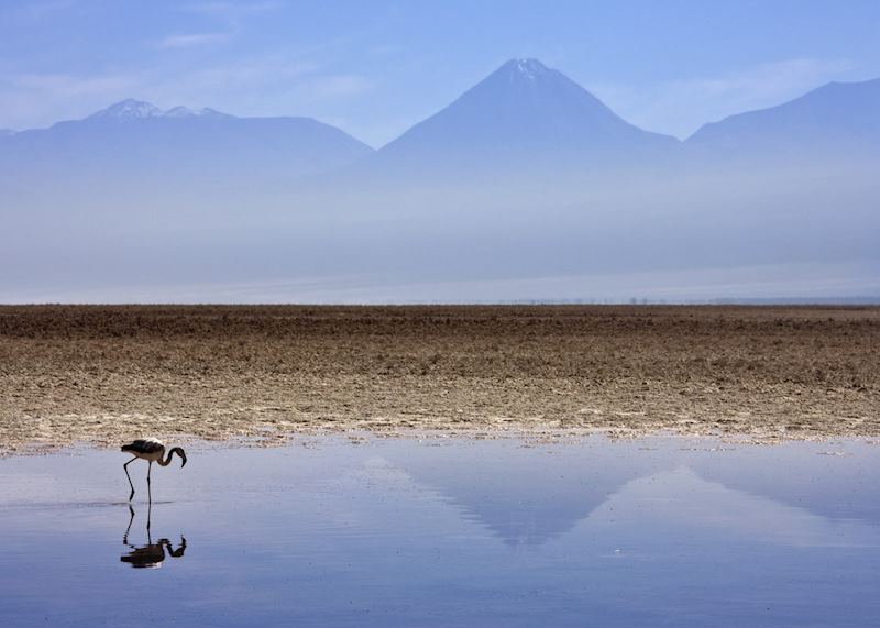 The Atacama, Chile