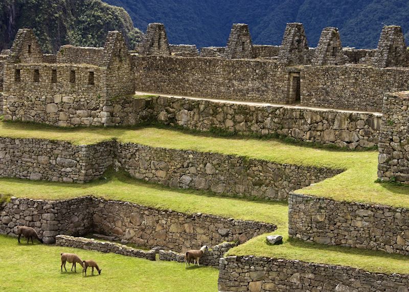 Machu Picchu, Peru