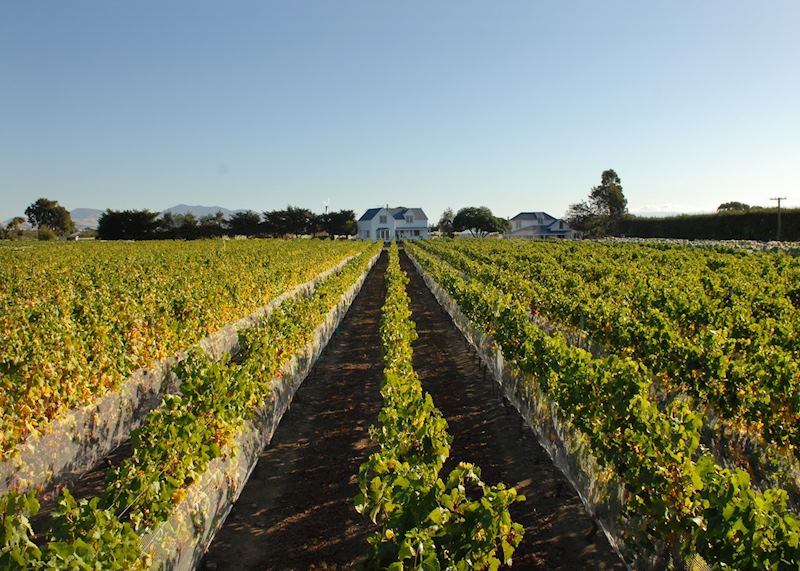 Martinborough, New Zealand