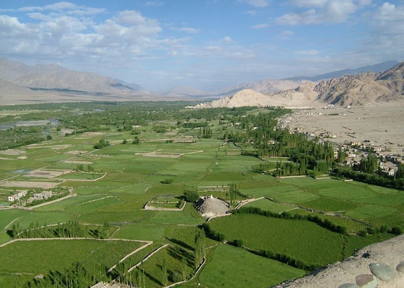Ladakhi landscape