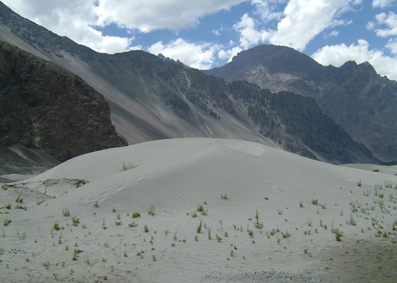 Sand dunes in the Nubra Valley, Ladakh