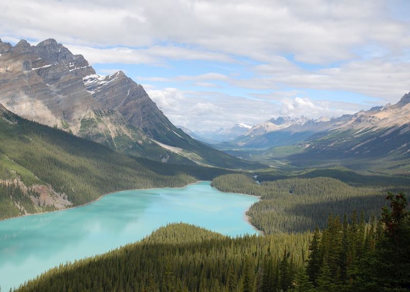 Peyto Lake, the Icefields Parkway