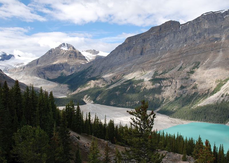 Scenery along the Icefields Parkway