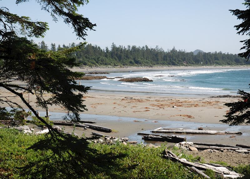 Beach at Tofino