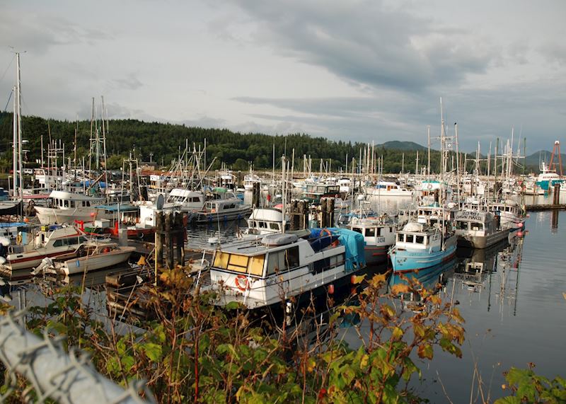 Port McNeill Harbour