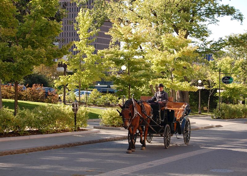 Horsedrawn Carriage Tour, Quebec City