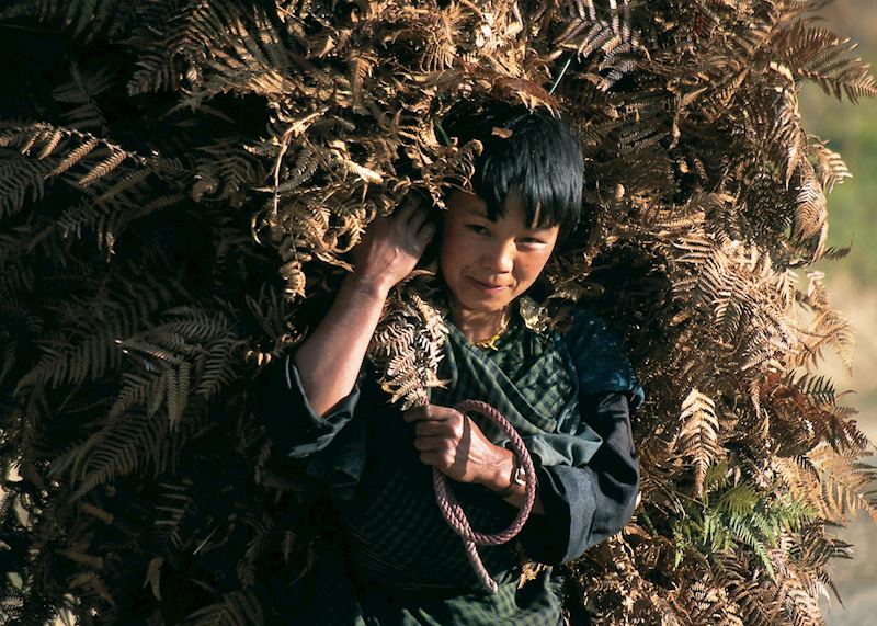 Child carrying bracken, Bumthang Valley