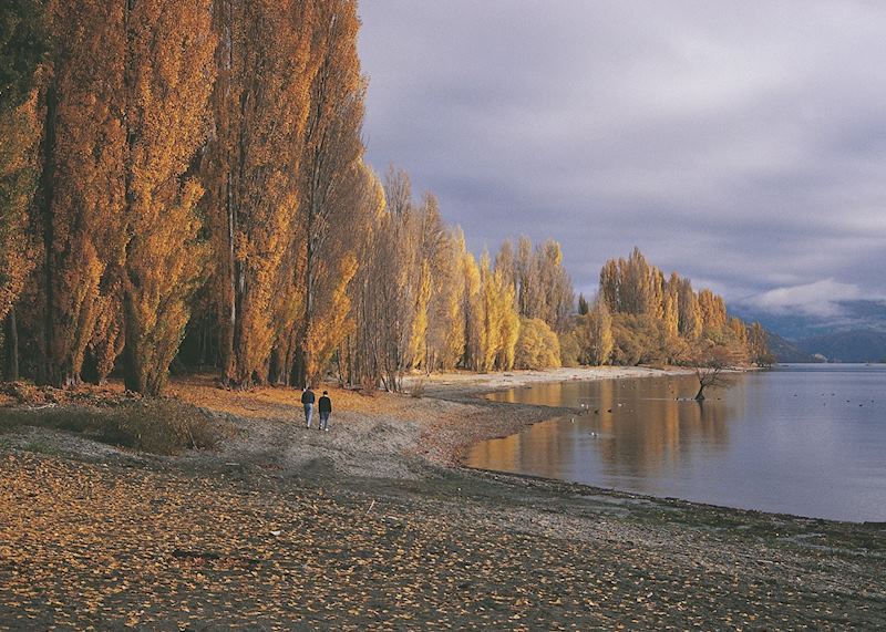 Lake Wanaka, New Zealand