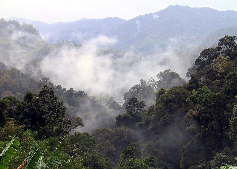 Khao Sok National Park, Thailand