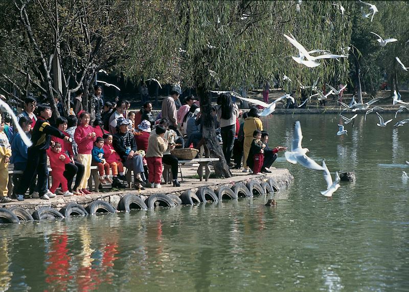 Feeding the birds, Kunming