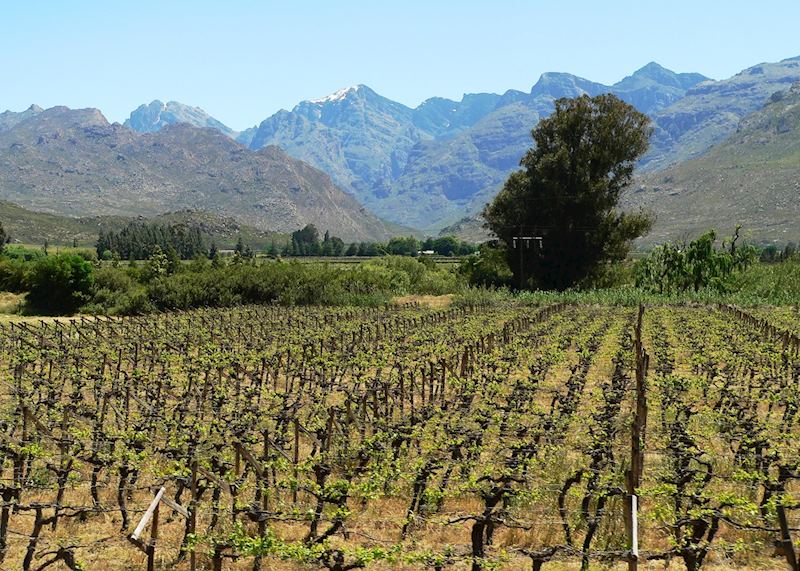 The Winelands, South Africa