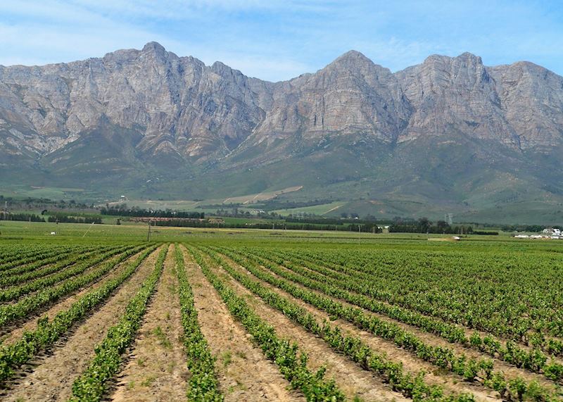 The Winelands, South Africa