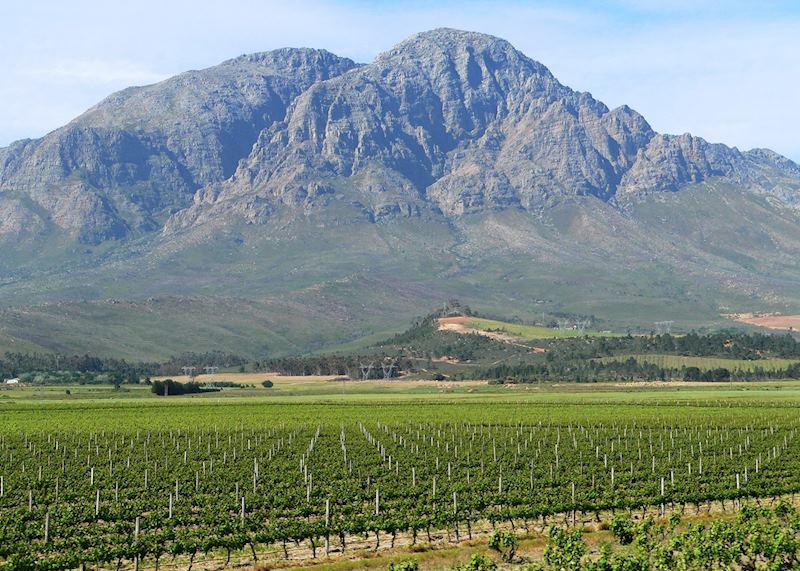 The Winelands, South Africa