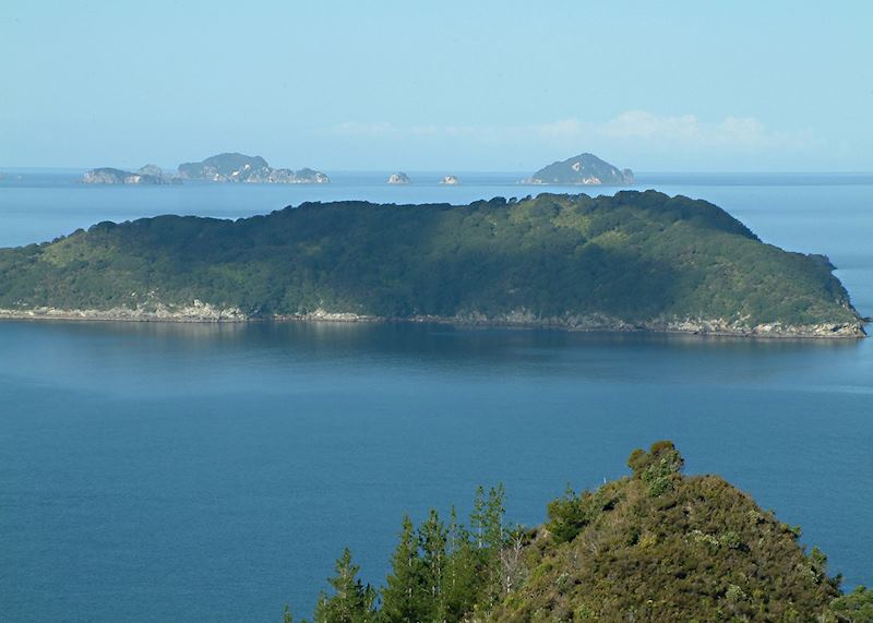 Aldermen Islands, Coromandel Peninsula