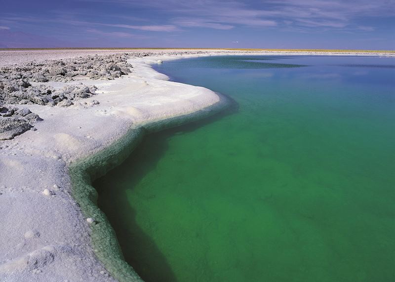 Laguna Cejar, Atacama Desert