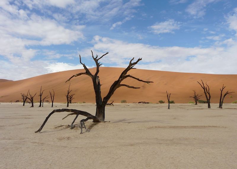 Dead Vlei, Sossusvlei, Namibia